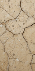 Dry, cracked earth surface showing signs of drought or arid conditions.