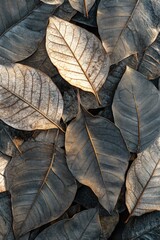 Wall Mural - Bunch of leaves close-up