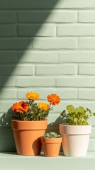 Poster - Rustic Urban Jungle Vibrant Ceramic-Potted Wildflowers on Textured Brick Wall – Spring Decor and Minimalist Design for Real Estate Ambiance and Urban Safety Enhancement