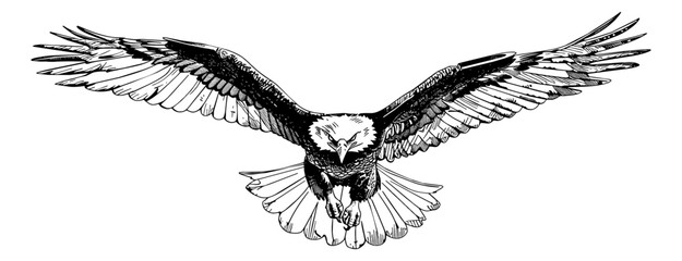 Wall Mural - bald eagle fly engraving black and white outline