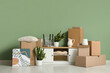 © Pixel-Shot - White cabinet, houseplants and cardboard boxes near green wall. Moving house concept