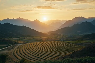 Wall Mural - Mountainous farmland landscape illuminated by sunset