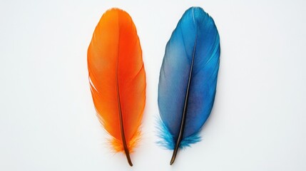 Poster - Vibrant Orange and Blue Feathers Displayed on a White Background, Showcasing the Beauty of Nature's Colors and Textures for Creative Projects and Designs