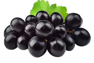 Fresh black grapes clustered together with green leaves in a bright setting