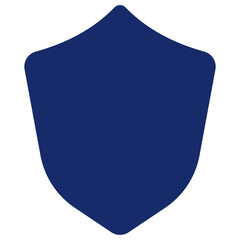 Website Icon