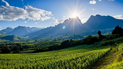 Wall Mural - Sunlit Vineyards and Majestic Mountains: A Breathtaking Panorama