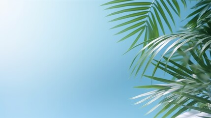 Wall Mural - Blurred Shadow of Palm Leaves on Light Blue Background Creating a Serene and Tropical Atmosphere for Relaxation and Calmness