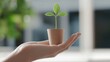 © MAY - A hand holding a small plant sprouting from a biodegradable pot made of recycled materials, representing the concept of sustainability, zero waste, and the circular economy in packaging.