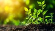 © EpochXstudio - Fertilizer chemistry illustrated molecular structures of nitrogenbased compounds and their role in enhancing soil nutrient content