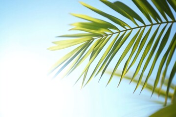 Poster - A close-up shot of a palm leaf against a clear blue sky, great for use in travel or nature-related projects
