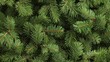 © ProStockGallery - Dense Green Fir Tree Branches Close-Up Textured Background.