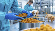 © Noble - Feeding dogs in pet food manufacturing facility with kibble preparation
