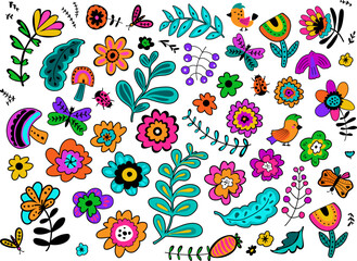 colorful bright  folk art flowes botanical floral nature element set