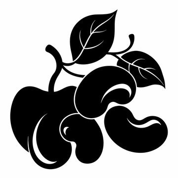 Cashews silhouette vector illustration on white background