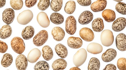 Poster - Variety of textured soybeans in different colors isolated on white background for culinary or agricultural design concepts