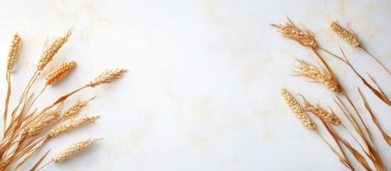 Poster - Golden Wheat Stalks on Light Textured Background with Blank Space for Fresh Natural Food or Harvest Themed Text Layout