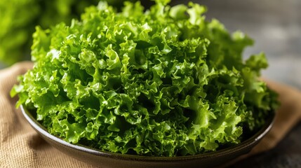Poster - Fresh green lettuce served in a rustic bowl ready for a healthy meal or salad preparation with natural lighting