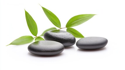 Poster - Bamboo leaves and smooth zen stones arranged harmoniously on a clean white background for a serene and calming aesthetic