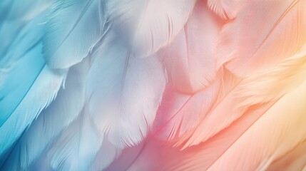 Aufkleber - Delicate Colorful Feather Texture Macro Shot in Soft Natural Light with Gentle Angelic Wing Aesthetic for Creative Backgrounds