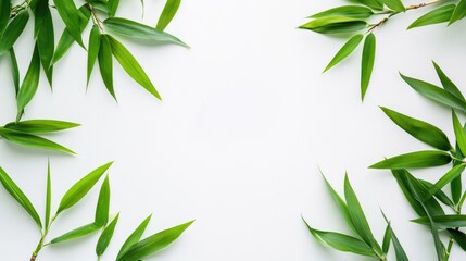 Aufkleber - Bamboo leaves arranged elegantly on a white background creating a serene and natural frame for various design applications