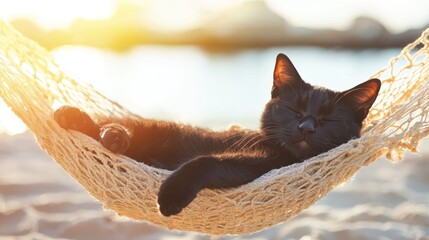 Aufkleber - Black cat relaxing in seashell hammock under sunlight evoking joy and tranquility with ample copyspace for text or branding.