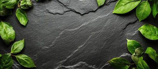 Poster - Dark slate surface framed with vibrant green leaves creating a nature-inspired background with space for text or branding elements.