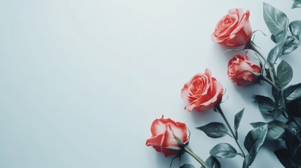 Poster - Fresh pink rose flowers arranged elegantly on a clean white background showcasing nature's beauty and elegance in floral design.