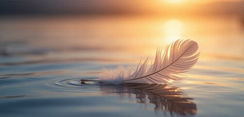 White feather floating on water at golden sunset