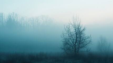 Wall Mural - misty twilight casts a calm ambiance over a dense forest with bare trees, evoking a serene and myste