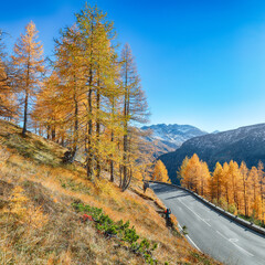 Wall Mural - gorgeous view of grossglockner high alpine road at autumn.