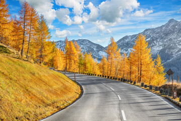 Wall Mural - Breathtaking view of Grossglockner High Alpine Road at autumn.