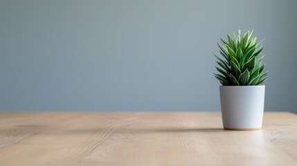 Poster - Small potted plant decorating minimalist wooden table in modern office