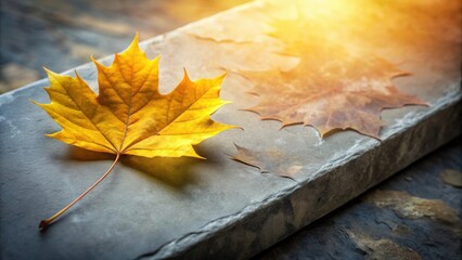 Fototapete - Autumnal Still Life Golden and Brown Leaves Resting on a Stone Surface