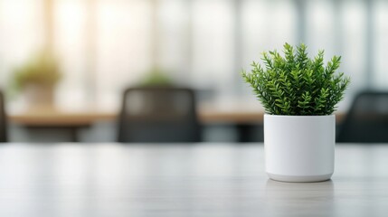 Aufkleber - Small green plant decorating modern empty office desk