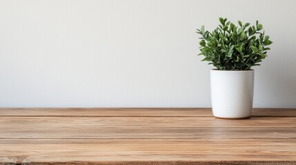 Aufkleber - Small potted plant decorating empty wooden table in a minimalist office