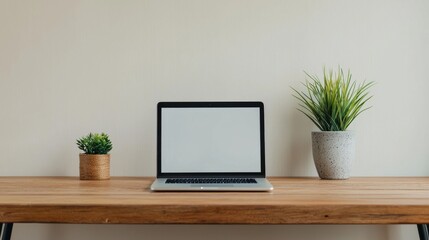 Poster - Modern minimalist office desk displaying laptop with blank screen and plants
