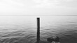 © musa - Solitary post in calm water, monochrome seascape.