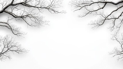 Poster - Delicate Silhouetted Tree Branches Against Soft Background for Natural and Artistic Imagery