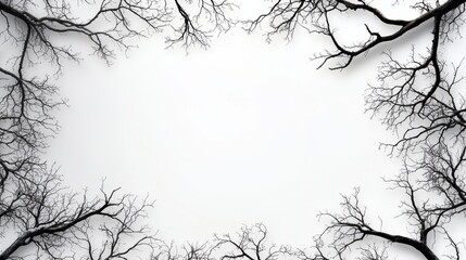 Poster - Minimalist Silhouetted Tree Branches Framing an Empty Background for Artistic and Creative Projects
