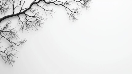 Poster - Silhouetted Tree Branch with Sharp Lines on a Minimalist Background for Artistic and Nature Projects