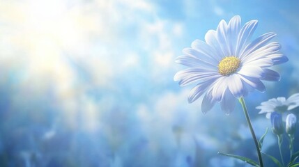 a beautiful blue aster flower with delicate petals swaying gently in the breeze on a bright sunny da