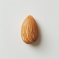 Poster - Delightful roasted almond showcasing a smooth surface and golden-brown color on a clean white backdrop
