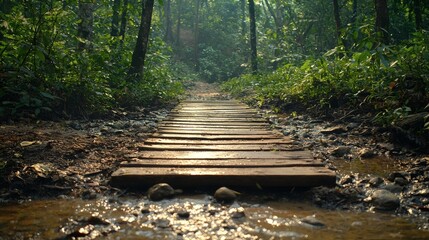 Poster - Small wooden bridge over a creek in a vibrant tropical jungle Tropical Stock Photo with side copy space