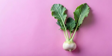 Poster - A single, fresh turnip with vibrant green leaves rests on a soft pink background