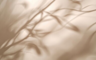 Poster - Soft shadows cast on a beige background, creating a tranquil and artistic ambiance ideal for various design projects.