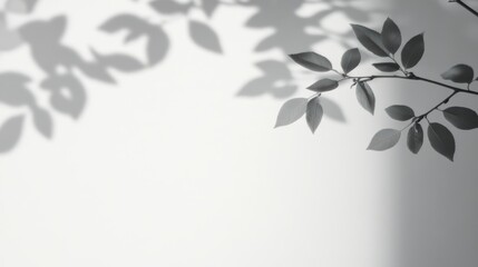 Poster - Elegant shadow of leaves on a light background, creating a serene and calming atmosphere for design projects.
