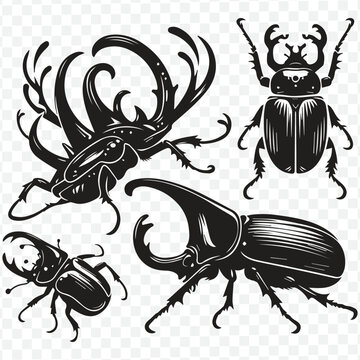 A modern black and white beetle logo, characterized by clean lines and a bold silhouette, representing strength and resilience
