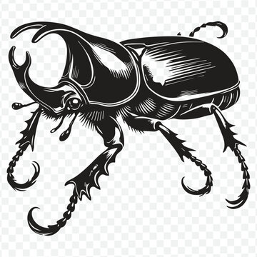 A modern black and white beetle logo, characterized by clean lines and a bold silhouette, representing strength and resilience