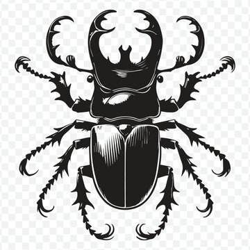 A modern black and white beetle logo, characterized by clean lines and a bold silhouette, representing strength and resilience