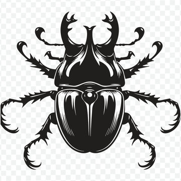 A modern black and white beetle logo, characterized by clean lines and a bold silhouette, representing strength and resilience